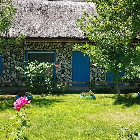 Pensiunea Iubire De Delta " La Traian " Murighiol Exterior photo